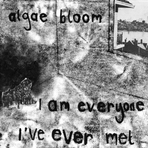 I am everyone I've ever met