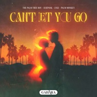 Can't Let You Go - Single - The Palm Tree Boy, D3EPANK, Lyge & Palm Monkey