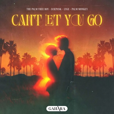 Can't Let You Go - Single