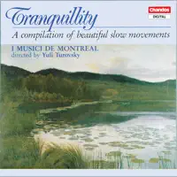 Piano Concerto No. 2 in F Major, Op. 102: II. Andante — Maxim Shostakovich, I Musici de Montréal & Dmitri Shostakovich Jr.