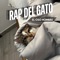 Rap Del Gato artwork