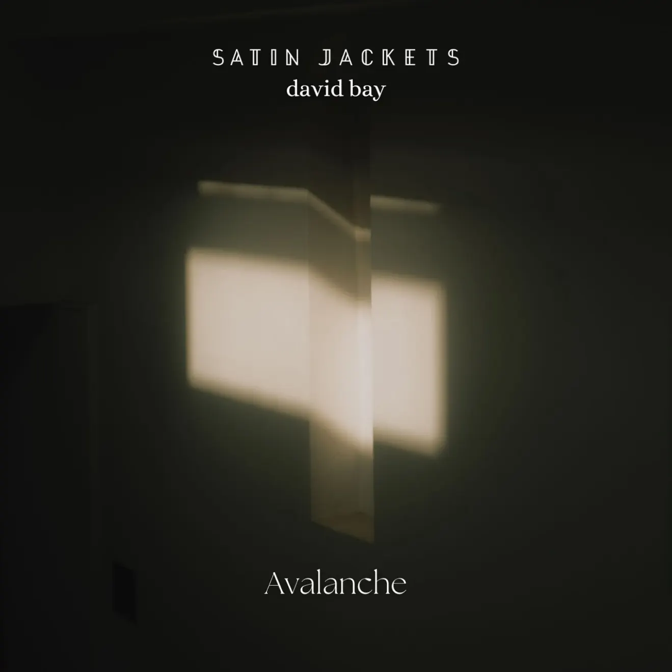 Satin Jackets & David Bay – Avalanche – Single (2024) [iTunes Match M4A]