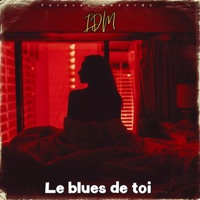 Le blues de toi - Single - IDEM Mehdi Gonzalez
