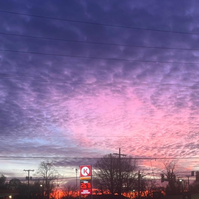 Coconut Mall - Single