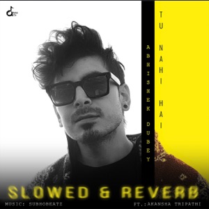 Tu Nahi Hai (Slowed and Reverb) [feat. Akansha Tripathi]
