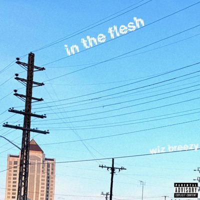 In The Flesh - Single