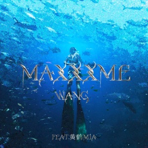 沉底 (feat. 黄鹤Miah) - Single