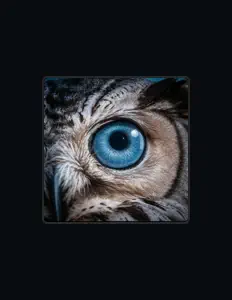 Posłuchaj wykonawcy ARFAN, obejrzyj teledyski, przeczytaj biografię, zobacz daty tras koncertowych i nie tylko!