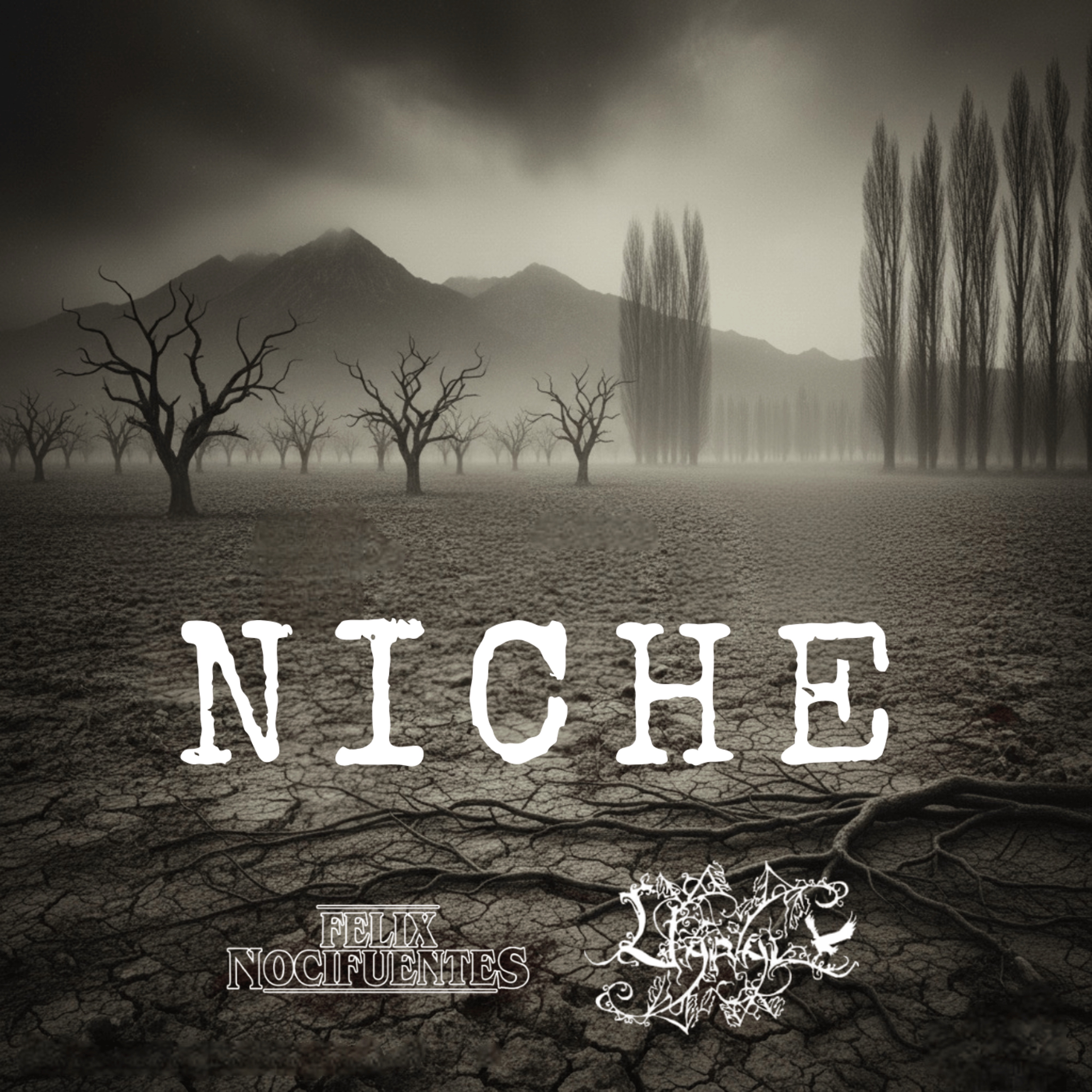 Niche (feat. Uaral) - Single