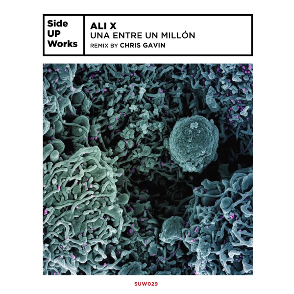 Una Entre Un Millón - Single