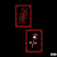 If The Afterlife is Full, Why Are My Friends Still Dying? - Single - Ouijaboy