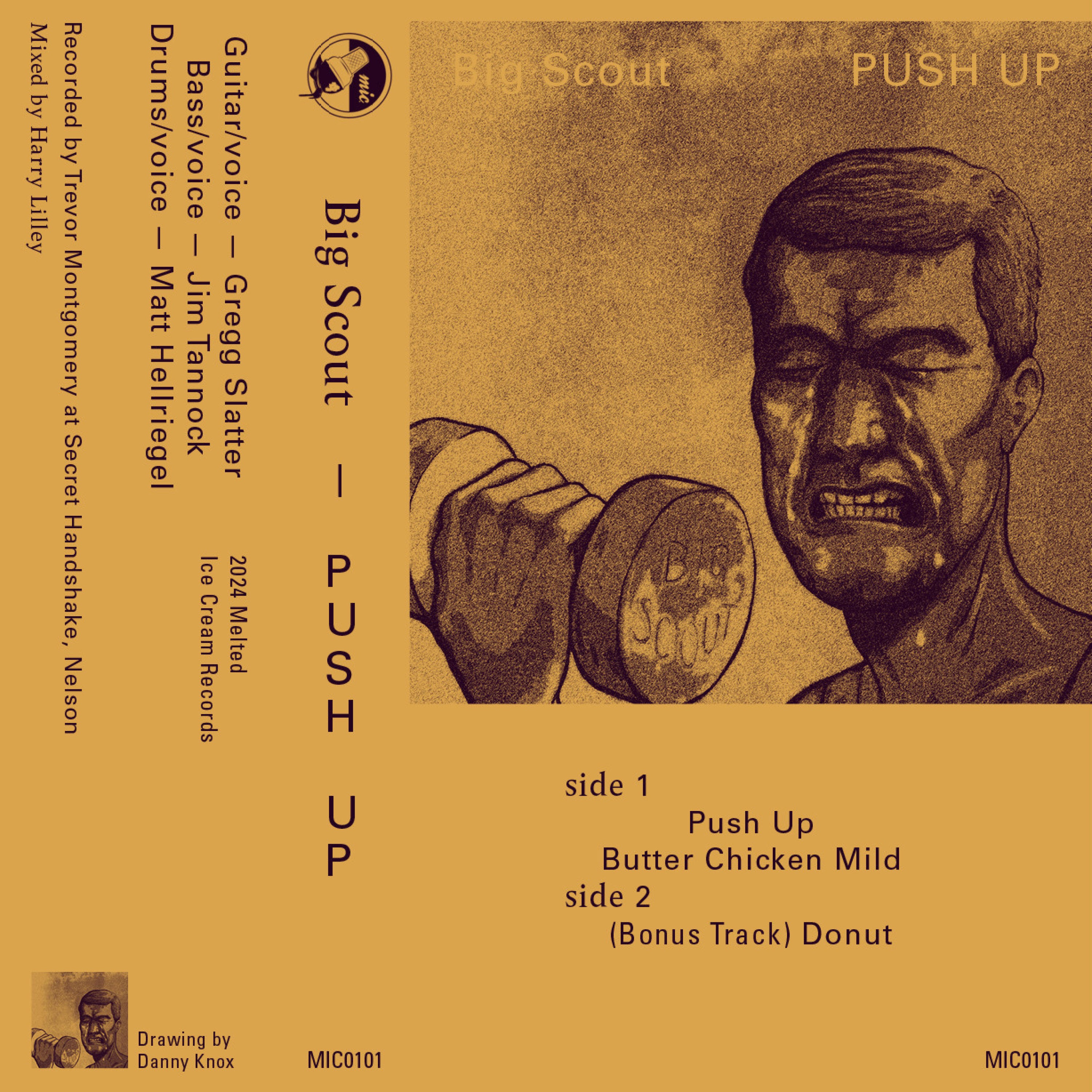 Push Up - Single