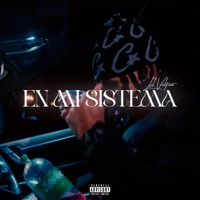 EN MI SISTEMA - Single - VOLTION