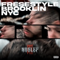 Freestyle Brooklyn Nyc (feat. Bamia RZ, DB Dimy & AKA Chefe) - Single - BRV Noblef