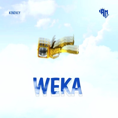 WEKA - Single