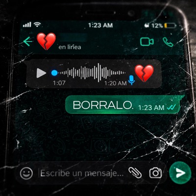 BÓRRALO (feat. Camilo Cabas) - Single
