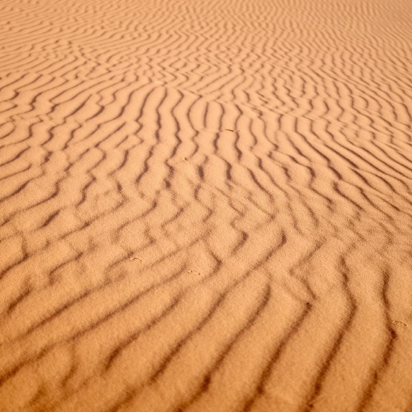 Traces