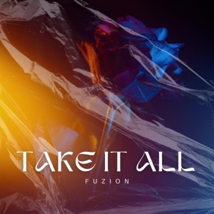 Take It All - Single