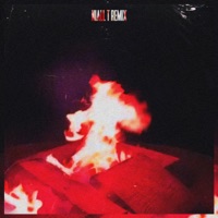 Wildfire (Niall T Remix) - Single - FUZION, Niall T & Zeli