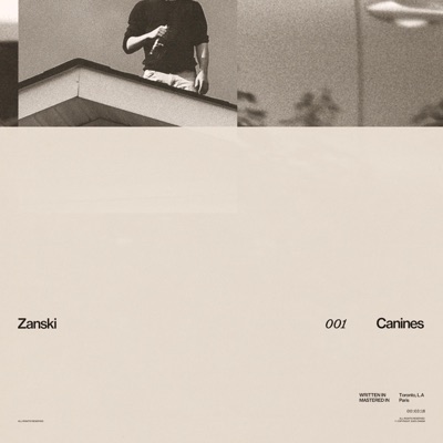 Canines - Single