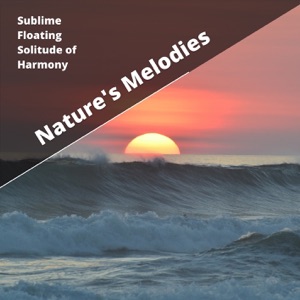 Sublime Floating Solitude of Harmony