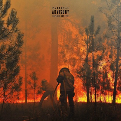 Wildfire - Single