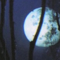 ASHESTOASHES - Single - SXCRED