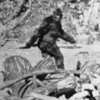 Throwin' Hands With Sasquatch - Single - Ben Braswell