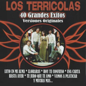 Hoy Te Confieso song art