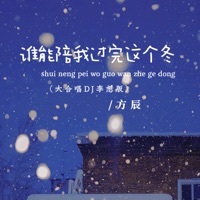 谁能陪我过完这个冬 (大合唱dj李想版) - Single - 方辰