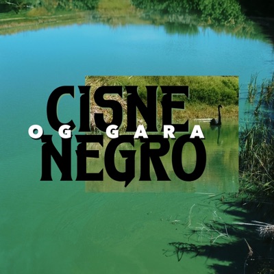 Cisne Negro - Single
