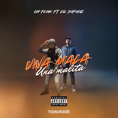 Una Mala Una Malita (feat. chflow, lilsofoke & chflow djfama) - Single