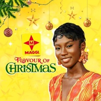 MAGGI Flavour Of Christmas (feat. Cina Soul) - Single - MAGGI Kitchen Studio