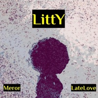 LittY (feat. LateLove) - Single - Meror