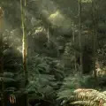 Over Mountains