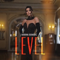 Level - Single - Katarina Didanovic