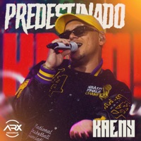 Melhor Forma (Ao Vivo) - Single - Kaeny