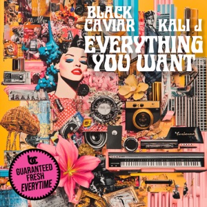 Everything You Want (Instrumental)