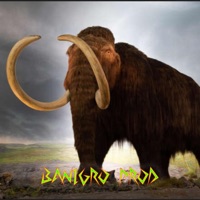 FILL - Single - Foljad