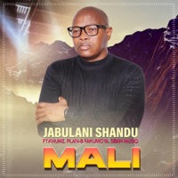 Mali (feat. Khumz, Plan-B Fakumoya & Sibah Musiq) - Single - Jabulani Shandu