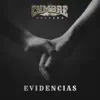 Evidencias