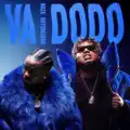 Va dodo