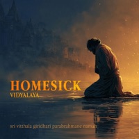 Homesick (feat. Vidyalaya & Sahadev) - EP - Swami Akash
