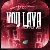 Vou Lava o Pau na Pia - Single - MC FT Original