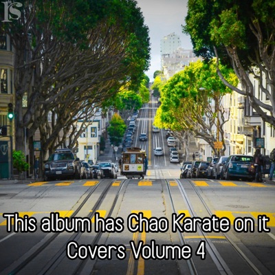Covers Volume 4 (This Album Has Chao Karate On It)