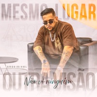 Não Vi Ninguém (Mesmo Lugar, Outra Visão) - Single - Arqui Rival