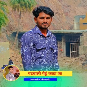 पढवाली गेहूं काटा जा (feat. Kajod Bhal)