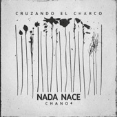 Nada Nace artwork