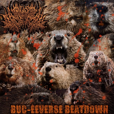 GLORYHOLE TORTURE CHAMBER (feat. DemsFightinWords) - Single