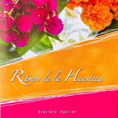 Ritmos de la Huasteca